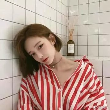 猫忍